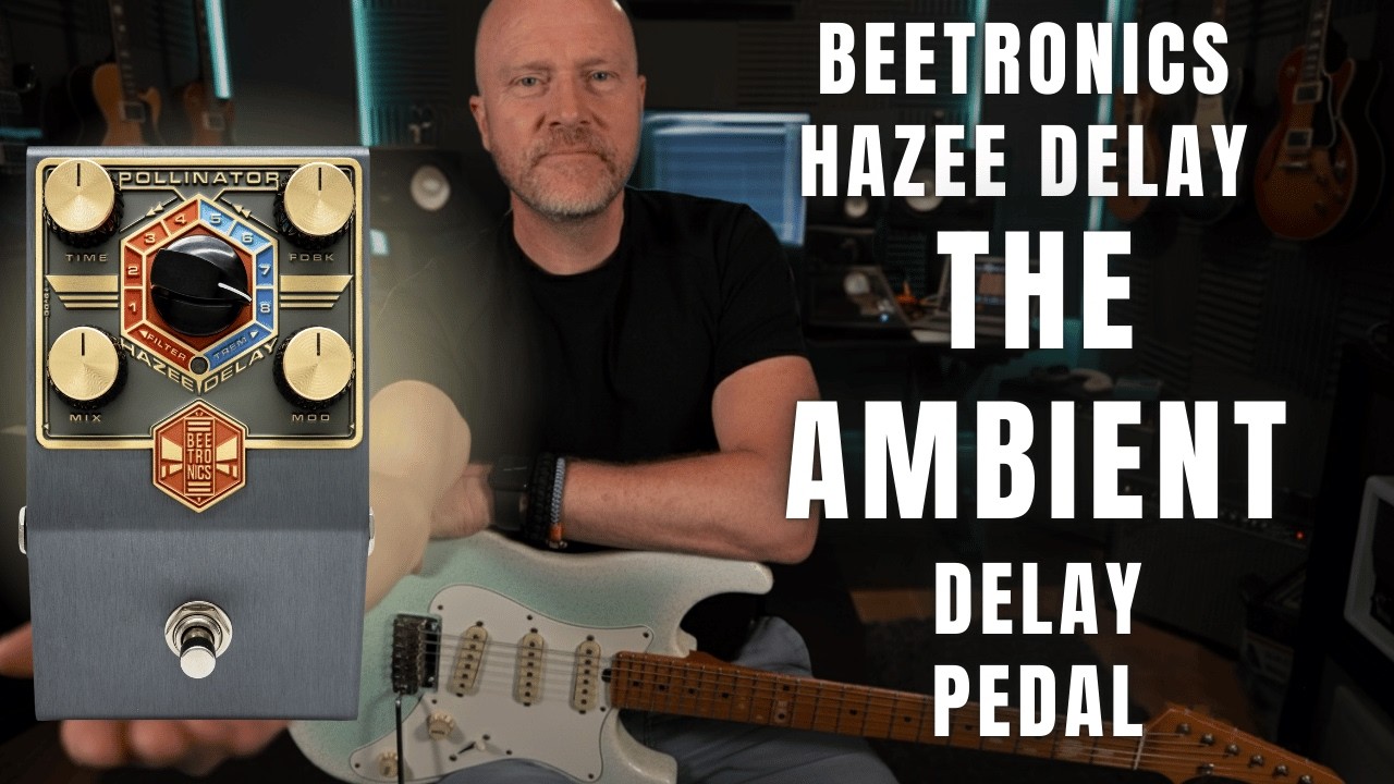 Beetronics Pollinator Hazee Delay — Delay Inspiration Machine - YouTube