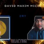 David Maxim Micic