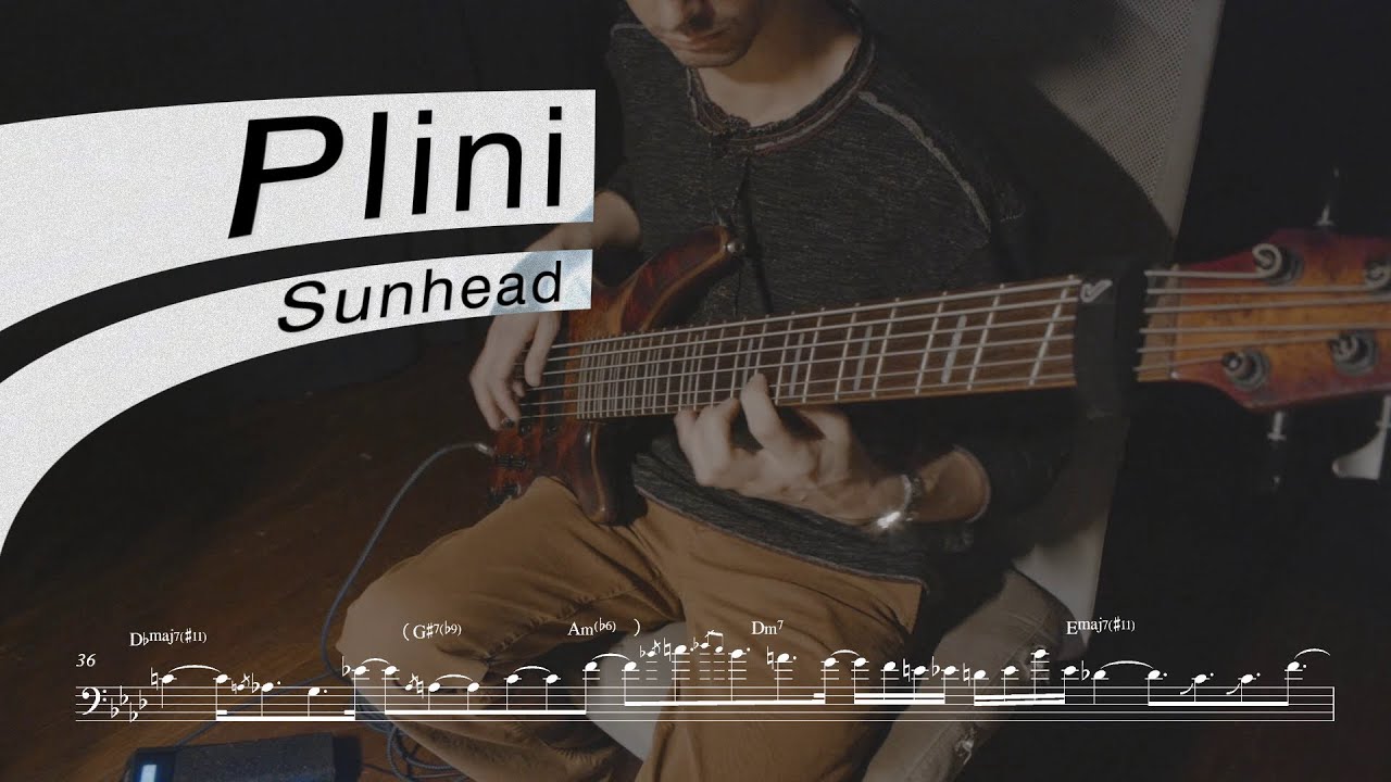Plini