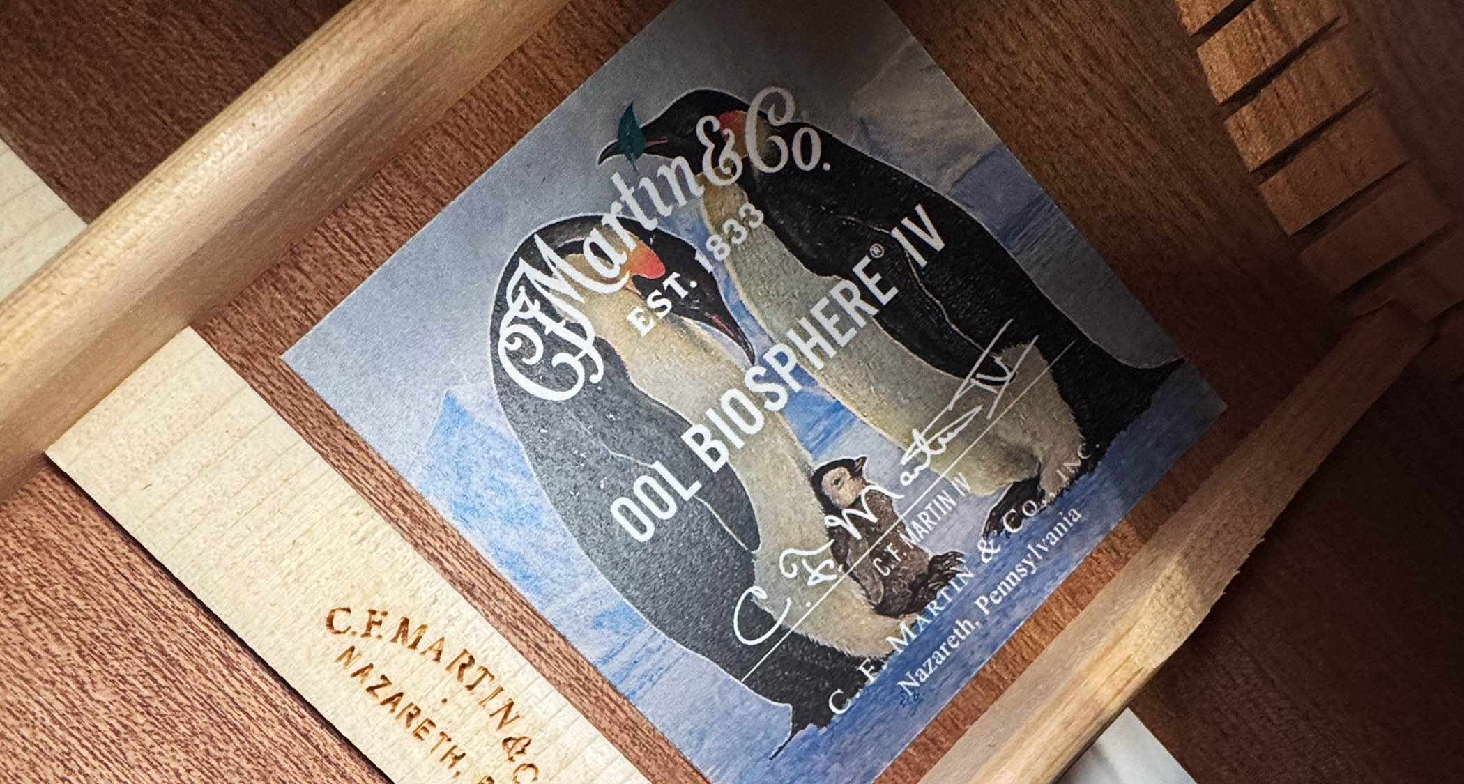 The Martin 00L Biosphere IV is created in tribute to the emperor penguin, and features a family of them on its graphic-finish top.