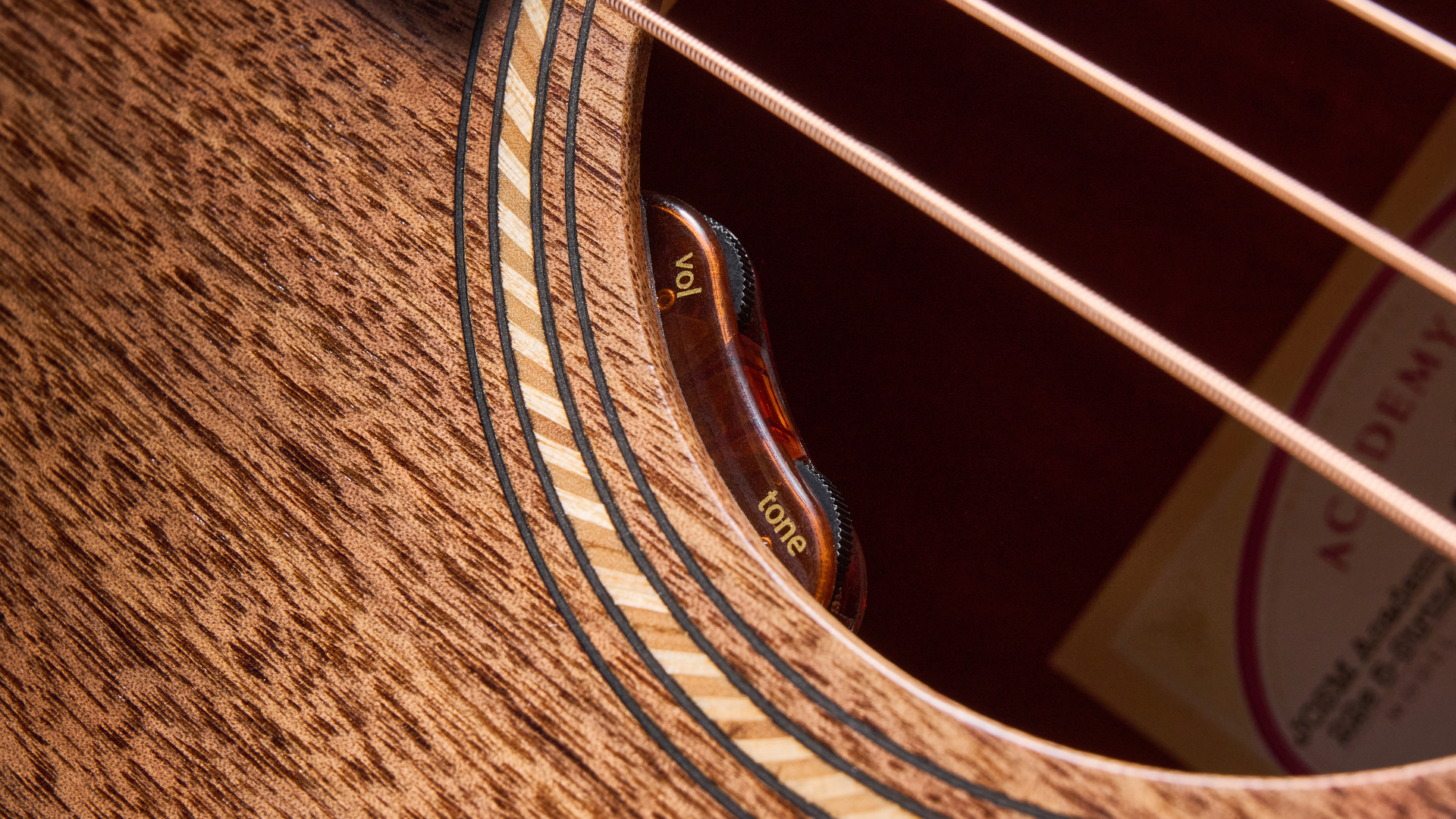 Taylor Jacob Collier Academy 22e