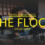 David Maxim Micic