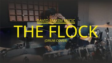 David Maxim Micic