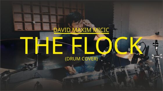 David Maxim Micic