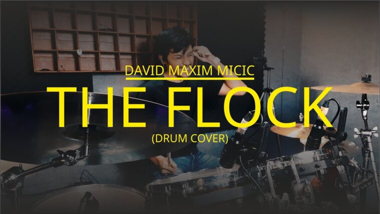 David Maxim Micic