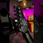 Ibanez RG review