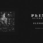 Plini