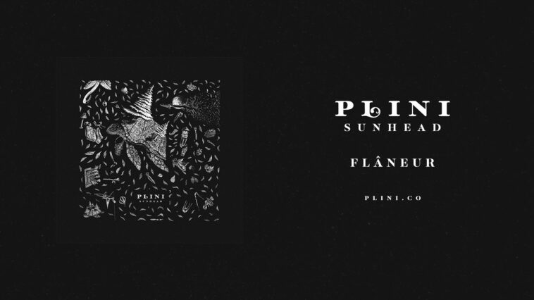 Plini – Flâneur (Audio) 18 Plini
