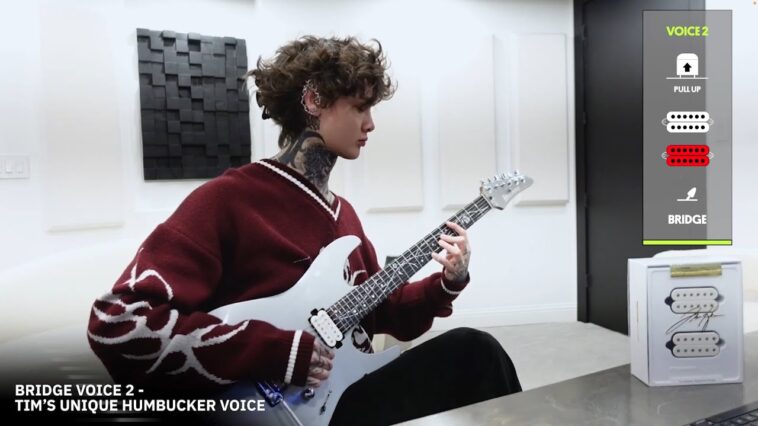 Fishman Fluence review