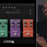 Archetype Nolly review