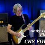 Andy Timmons