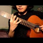 Apeirophobia - Animals As Leaders (guitar cover) 26 Tosin Abasi
