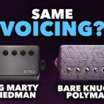 EMG Marty Friedman vs Bare Knuckle Polymath - Do They Actually Sound Similar? 26 Marty Friedman
