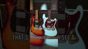 Music Man Majesty review