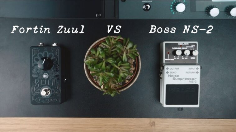 Fortin Zuul review