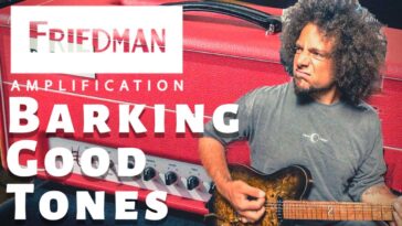 Friedman BE-100 review