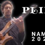 Plini