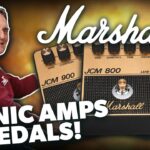Marshall JVM review