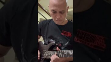 PRS SE Custom 24 review