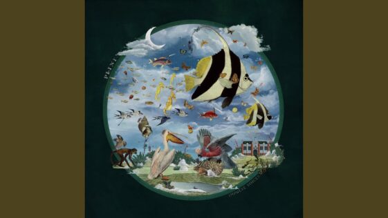 Plini