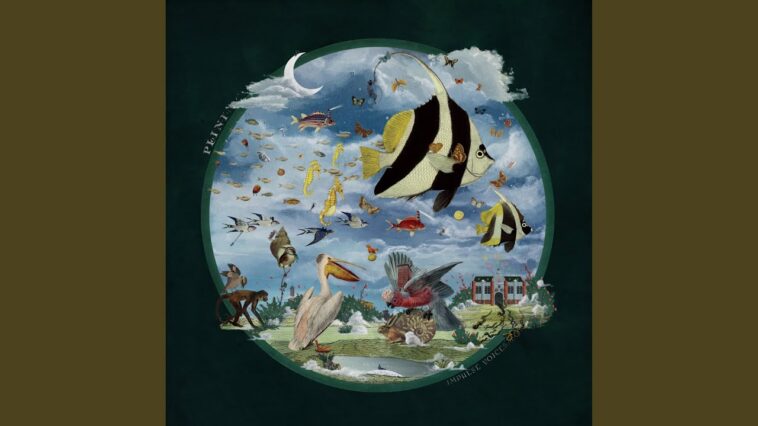 Plini