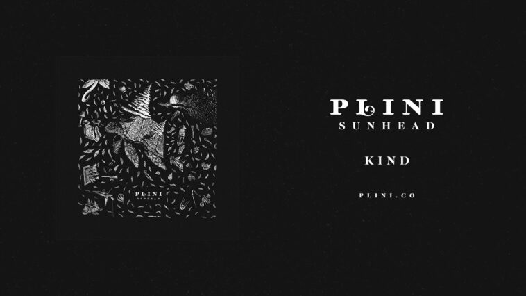 Plini