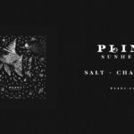 Plini