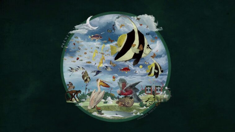 Plini