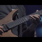 Plini