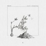 Plini