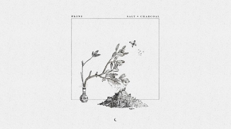 Plini