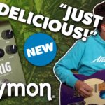 Strymon Brig - Can They Top the Cloudburst? 25 Strymon pedals review