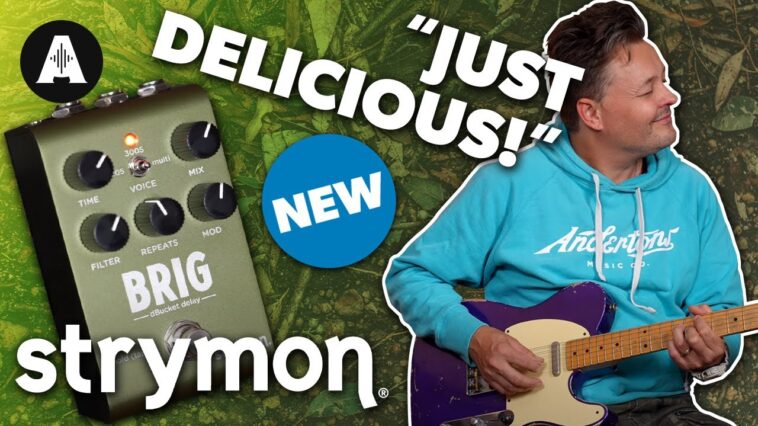 Strymon pedals review
