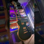 Fishman Fluence review