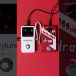 DigiTech Whammy review