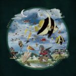 The Glass Bead Game 26 Plini