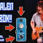 EVH 5150 review