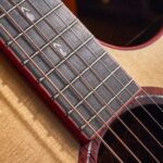 “A step towards the upper echelon of acoustic guitar lutherie at a very reasonable price”: Cort Gold-A10 Cocobolo review