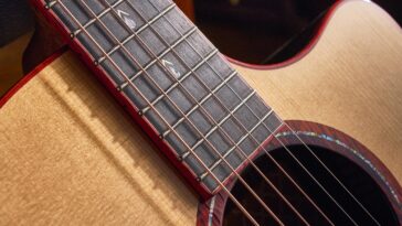 “A step towards the upper echelon of acoustic guitar lutherie at a very reasonable price”: Cort Gold-A10 Cocobolo review