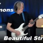 Andy Timmons
