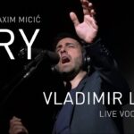 David Maxim Micic