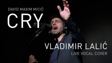 David Maxim Micic