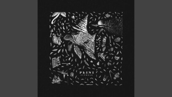 Plini