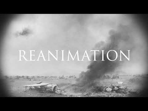 Karnivool - Reanimation (Lyric Video) 18 Guthrie Govan