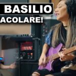 Lari Basilio