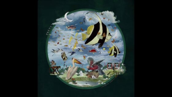 Plini