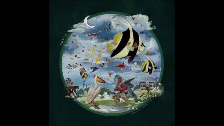 Plini