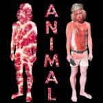 Blood Brothers to Evil Island, Cody Votolato’s wild ride