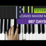 David Maxim Micic