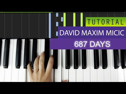 David Maxim Micic